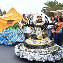 Foto do artista Professores (Samba-Enredo)