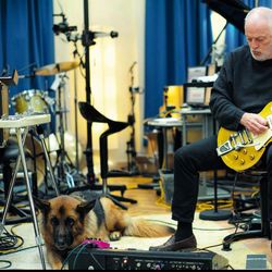 Foto do artista David Gilmour