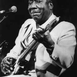 Foto do artista Muddy Waters