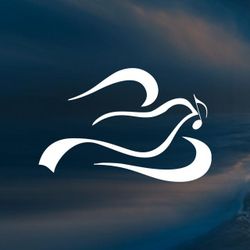 Foto do artista Vida Reluz