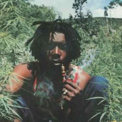 Foto do artista Peter Tosh