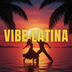 Foto do artista Vibe Latina
