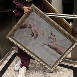 Foto do artista Veigh