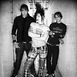 Foto do artista The Distillers