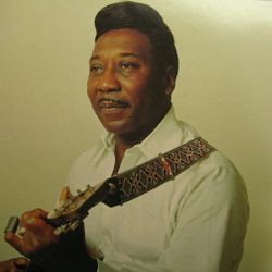 Foto do artista Muddy Waters