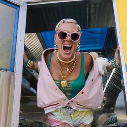 Foto do artista P!nk