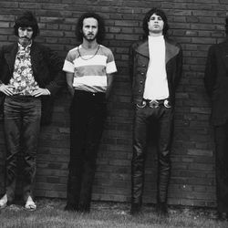 Foto do artista The Doors