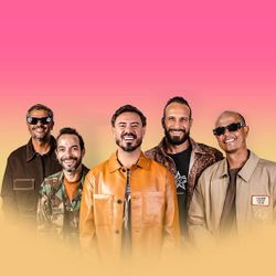 Foto do artista Planta e Raiz