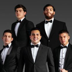 Foto do artista Grupo Marca Registrada