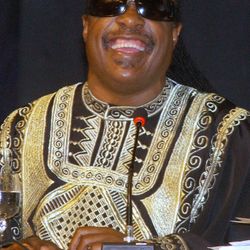 Foto do artista Stevie Wonder
