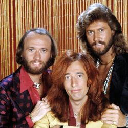 Foto do artista Bee Gees