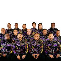 Foto do artista Grupo Niche