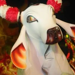 Foto do artista Boi Bumbá Garantido