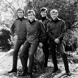 Foto do artista Bobby Fuller Four