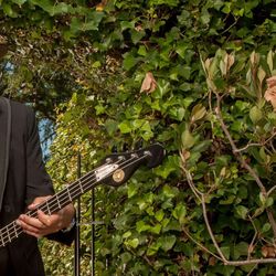 Foto do artista Les Claypool