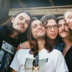 Foto do artista Post Animal