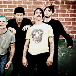 Foto do artista Red Hot Chili Peppers