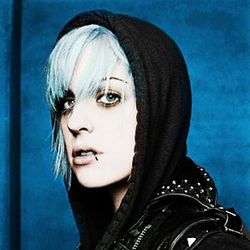 Foto do artista The Distillers