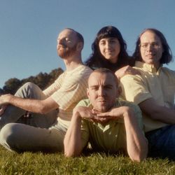 Foto do artista The Beths