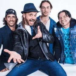 Foto do artista Falamansa