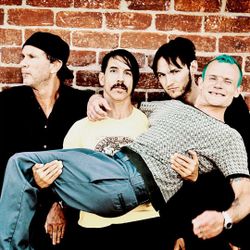 Foto do artista Red Hot Chili Peppers