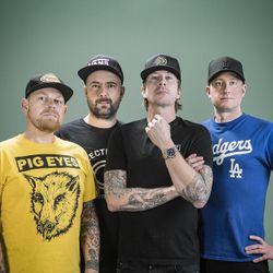 Foto do artista Millencolin