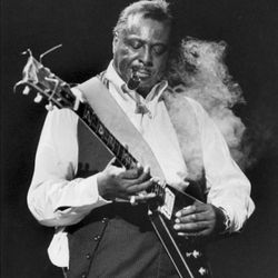 Foto do artista Albert King