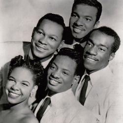 Foto do artista The Platters