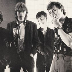 Foto do artista The Soft Boys