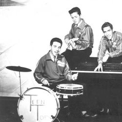 Foto do artista Los Teen Tops