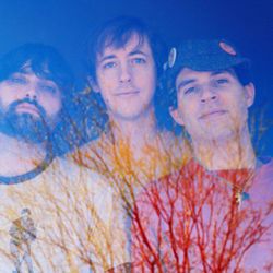 Foto do artista Animal Collective