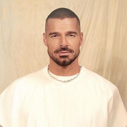 Foto do artista Ricky Martin