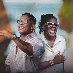 Foto do artista Terra Samba