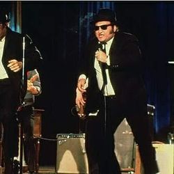 Foto do artista The Blues Brothers