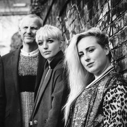 Foto do artista Section 25