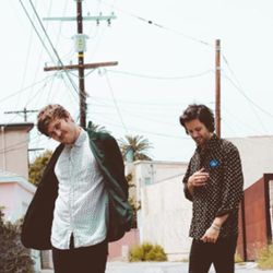 Foto do artista The Palms