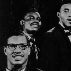 Foto do artista The Moonglows
