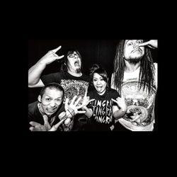 Foto do artista Maximum The Hormone