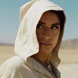 Foto do artista Sevdaliza