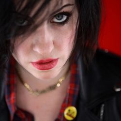 Foto do artista The Distillers