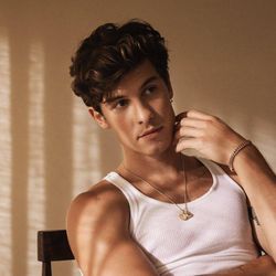 Foto do artista Shawn Mendes