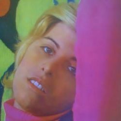 Foto do artista Vanusa