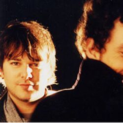 Foto do artista The Wallflowers
