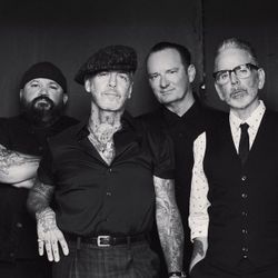 Foto do artista Social Distortion