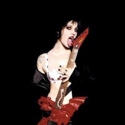 Foto do artista The Distillers