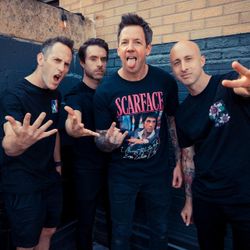 Foto do artista Simple Plan