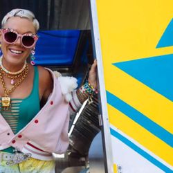 Foto do artista P!nk