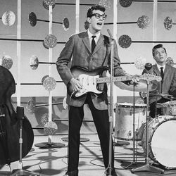 Foto do artista The Crickets