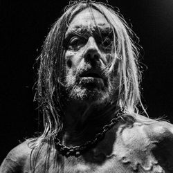 Foto do artista Iggy Pop