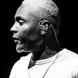 Foto do artista Aka Rasta